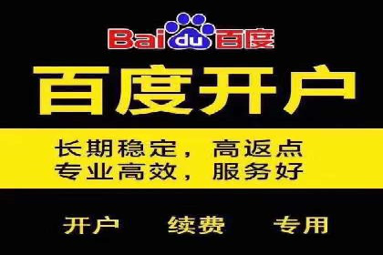 探索SEO在移动端的优化策略——成功案例分享
